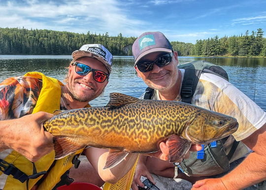 Tiger Trout