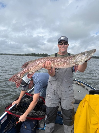 Northern Pike