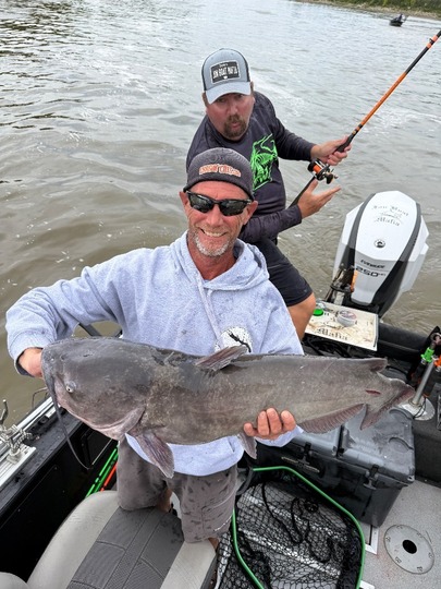 Channel Catfish