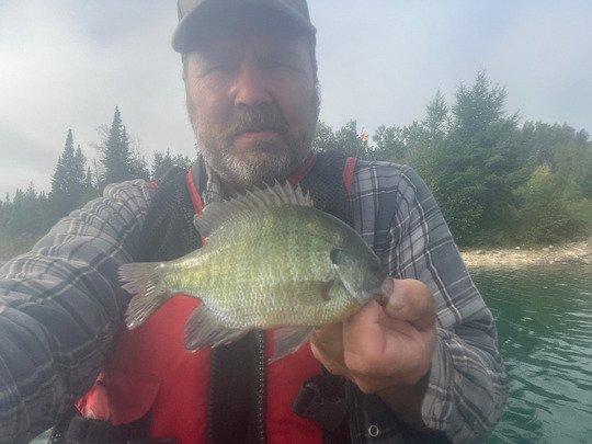 Sunfish
