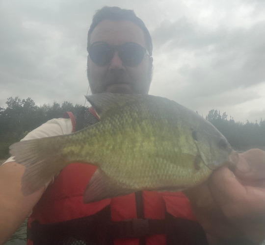 Sunfish