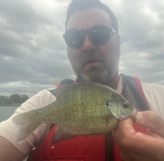 Sunfish