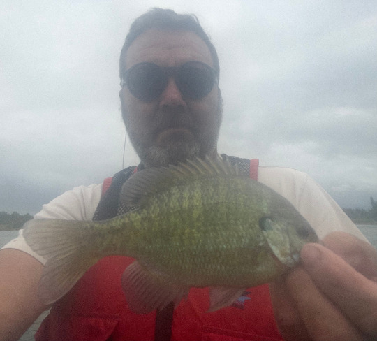 Sunfish