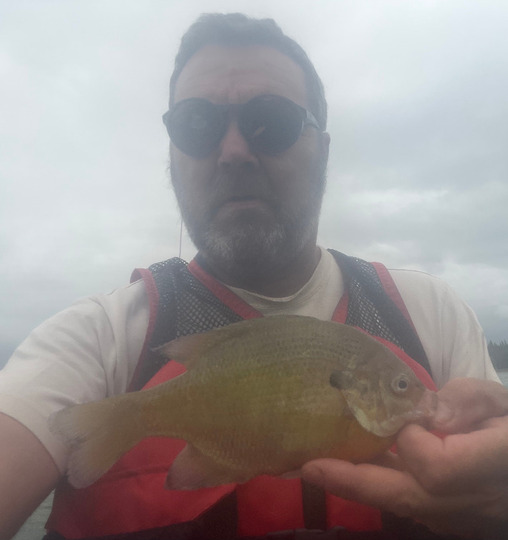 Sunfish