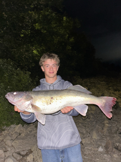 Walleye