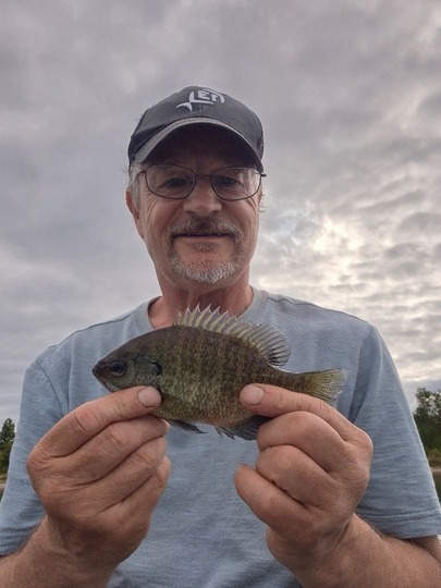 Sunfish