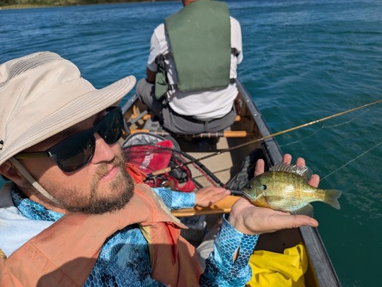 Sunfish