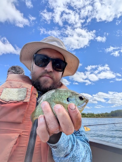 Sunfish