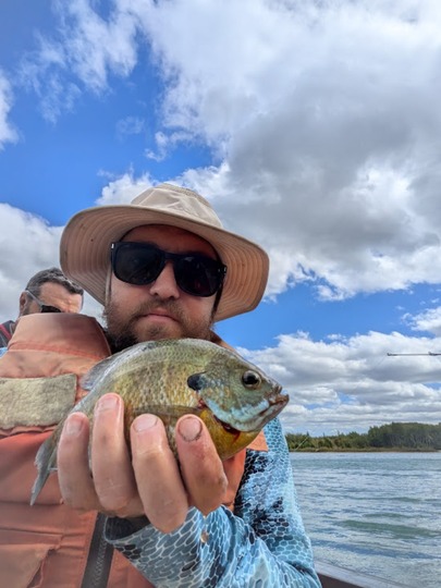 Sunfish