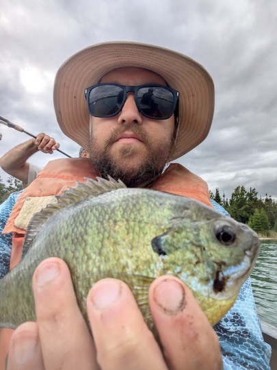 Sunfish