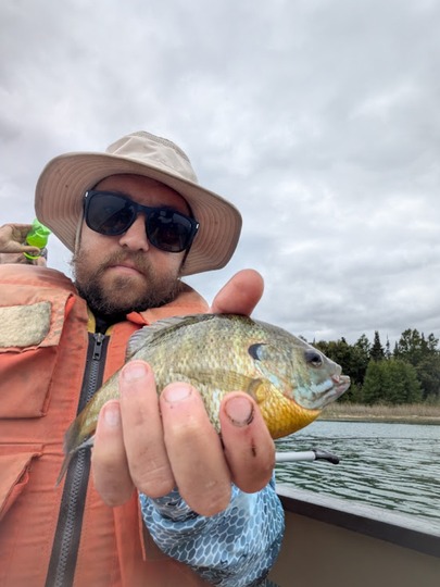 Sunfish