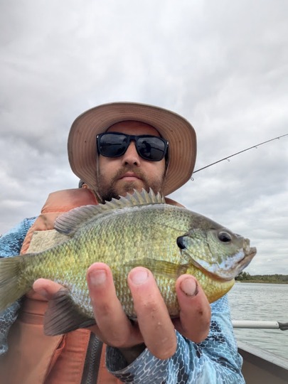 Sunfish