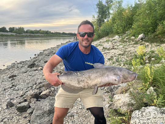 Channel Catfish