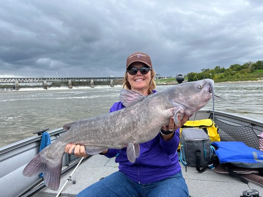 Channel Catfish