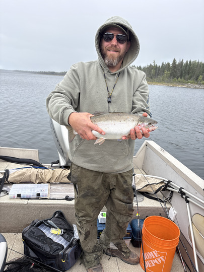 Rainbow Trout