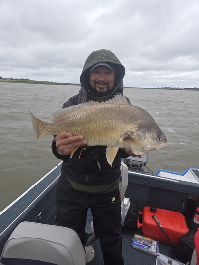 Freshwater Drum