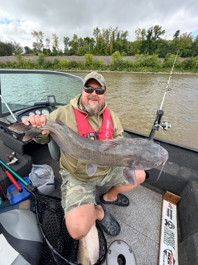 Channel Catfish