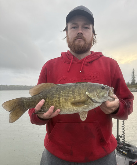Smallmouth Bass