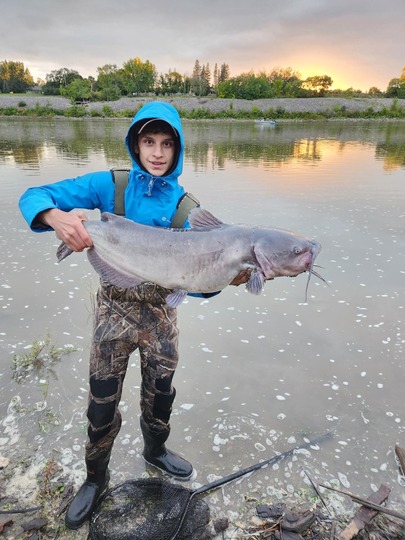 Channel Catfish