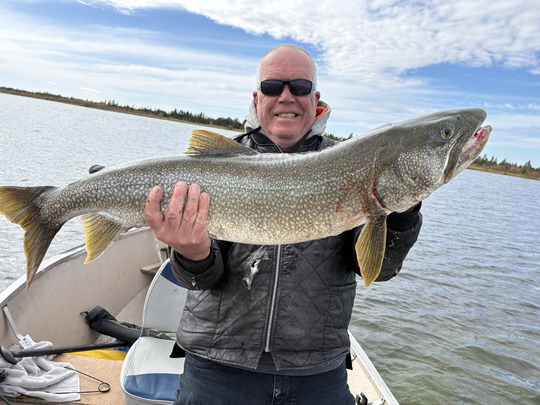 Lake Trout