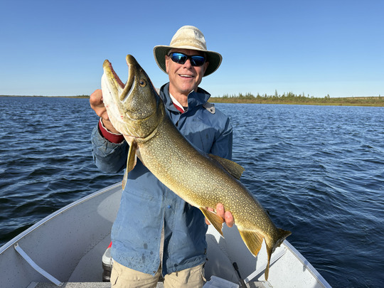 Lake Trout