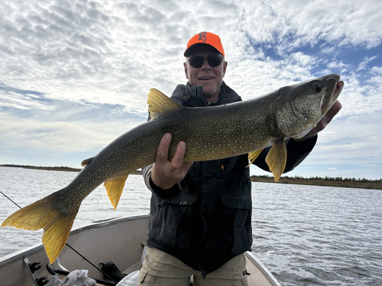 Lake Trout