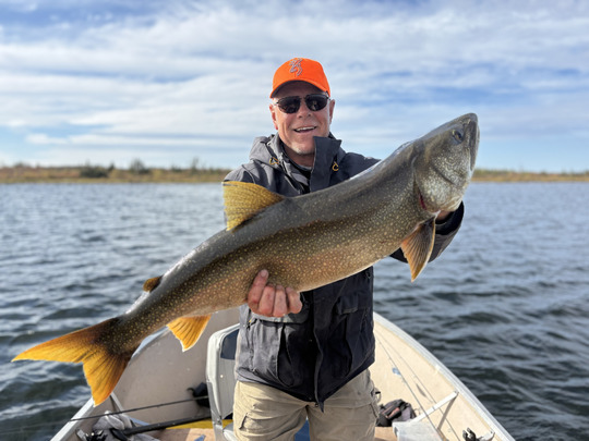 Lake Trout