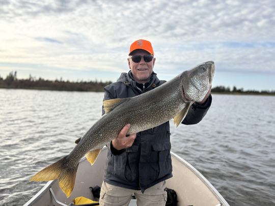 Lake Trout