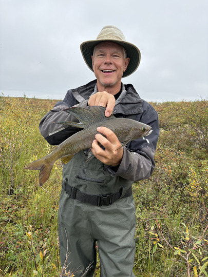 Arctic Grayling