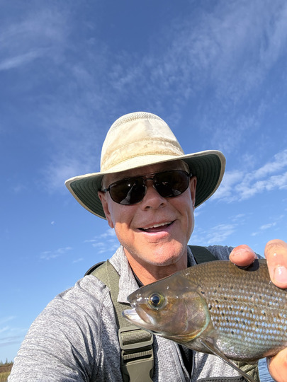 Arctic Grayling