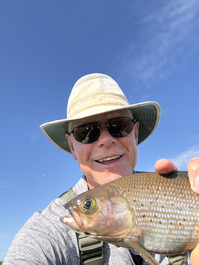Arctic Grayling