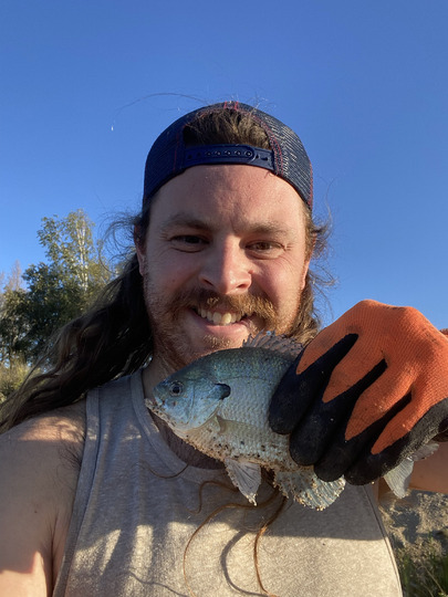 Sunfish