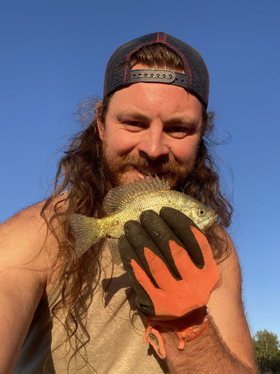 Sunfish