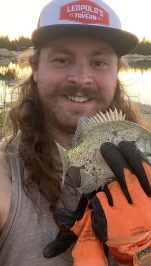 Sunfish
