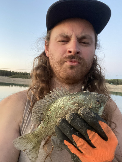 Sunfish