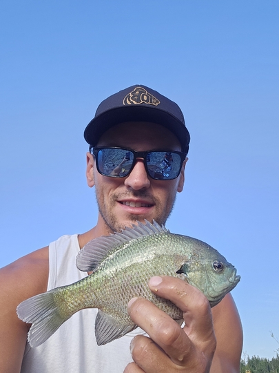 Sunfish