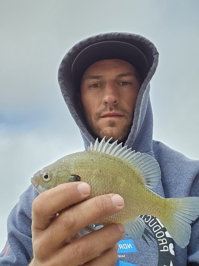 Sunfish