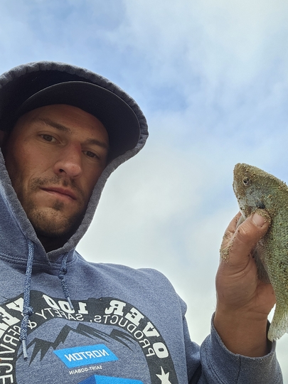 Sunfish