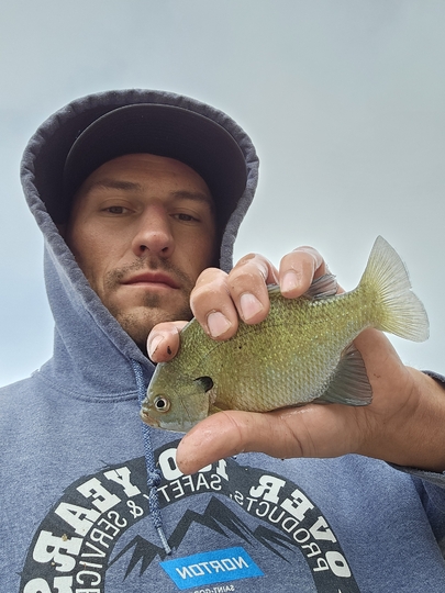 Sunfish