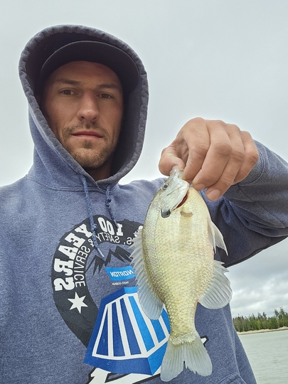Sunfish