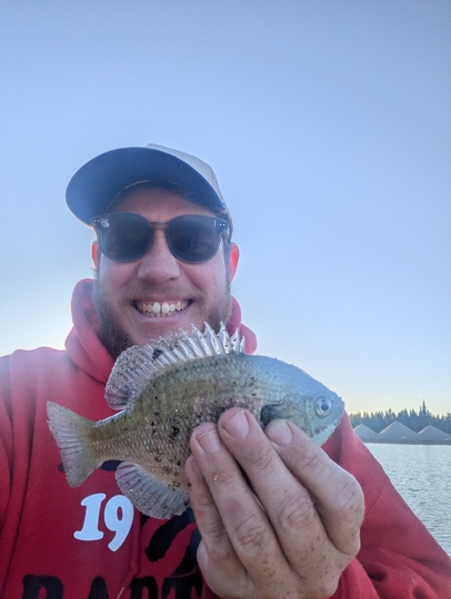 Sunfish