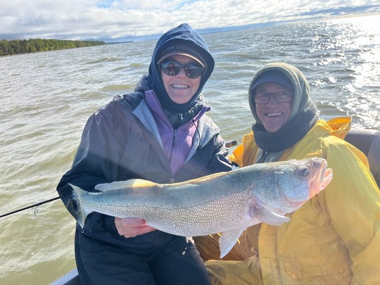 Walleye