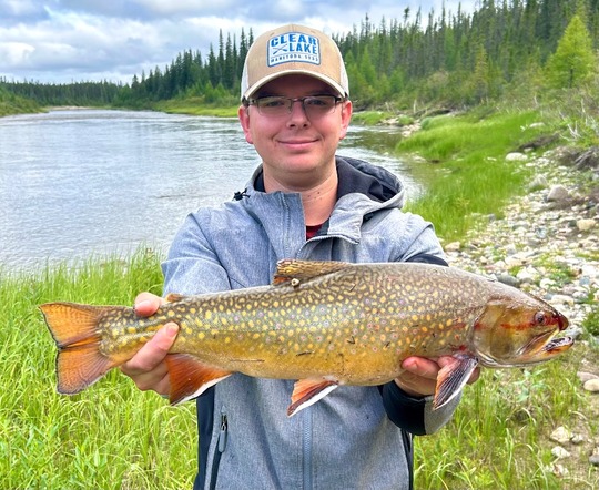 Brook Trout