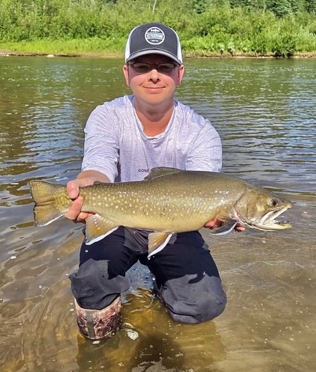 Brook Trout
