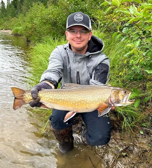 Brook Trout