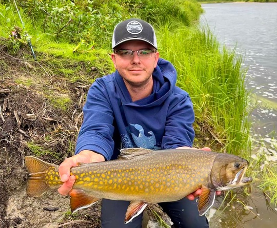 Brook Trout