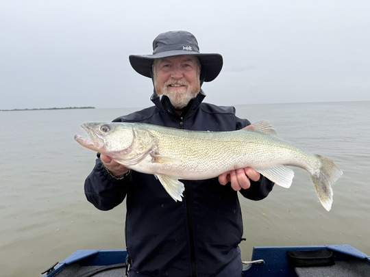 Walleye