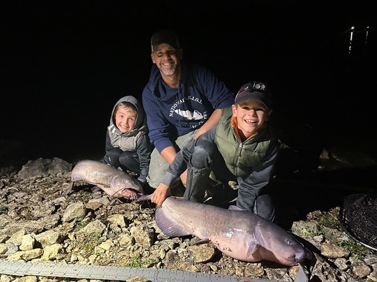 Channel Catfish