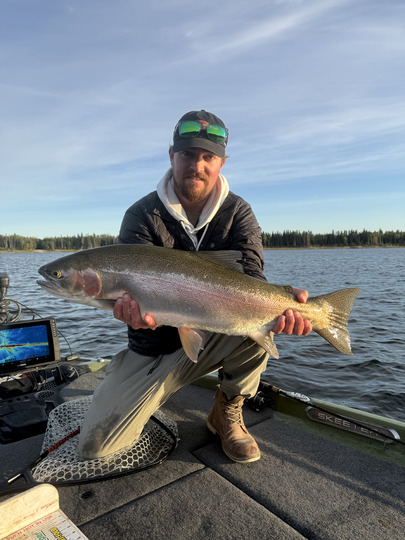 Rainbow Trout