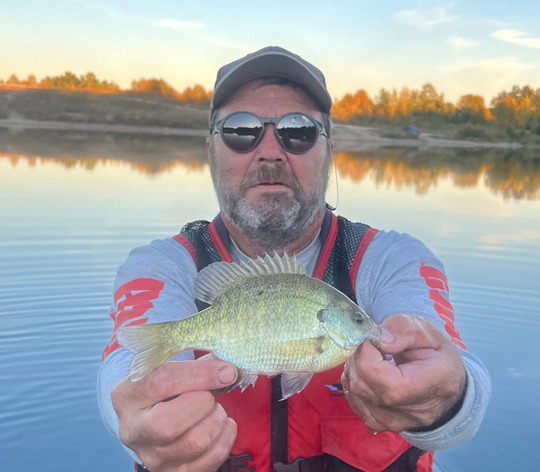 Sunfish